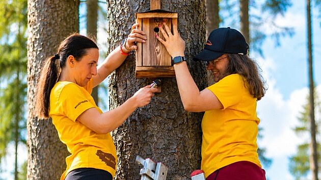 Členové turistického oddílu mládeže a další dobrovolníci vyčistili zarostlé úseky a rozmístili 40 ptačích budek.