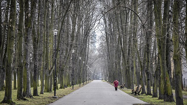 Pl&aacute;novan&eacute; v&yacute;razn&eacute; k&aacute;cen&iacute; v ostravsk&yacute;ch Komensk&eacute;ho sadech se t&yacute;k&aacute; i &uacute;středn&iacute; lipov&eacute; aleje pobl&iacute;ž tenisov&yacute;ch kurtů. (13. července 2026)