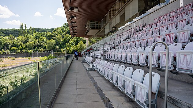 Na chrt&iacute;m z&aacute;vodi&scaron;ti v Motole se nez&aacute;vod&iacute; už dlouho, př&iacute;&scaron;t&iacute; rok vystř&iacute;daj&iacute; ps&iacute; &scaron;ampiony mlad&iacute; atleti. (13. července 2026) 