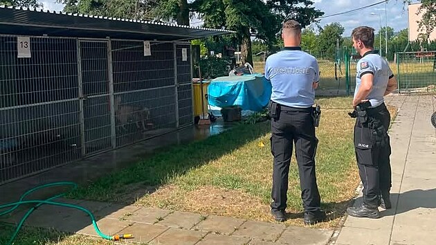 Do mohelnického útulku někdo vnikl a připravil psům „hostinu“, která skončila průjmy a zvracením zvířat. Událostí už se zabývá policie.
