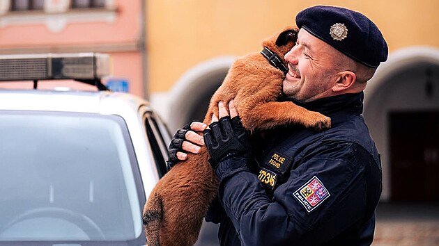 Štěně policejního psa Palermo v prosinci 2024