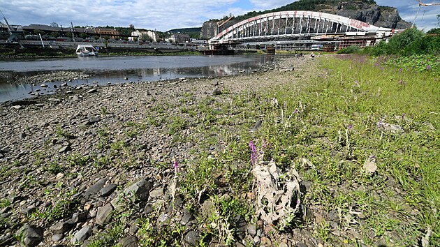Vyschlé koryto řeky Labe v Ústí nad Labem. (22. července 2026)