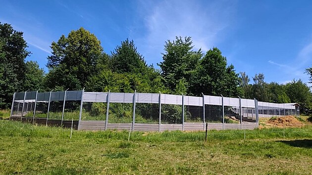 Nový speciální výběh pro velké savce, například pro vlka, rysa a jezevce, bartošovické zvířecí nemocnici výrazně pomůže s provozem. (28. července 2026)