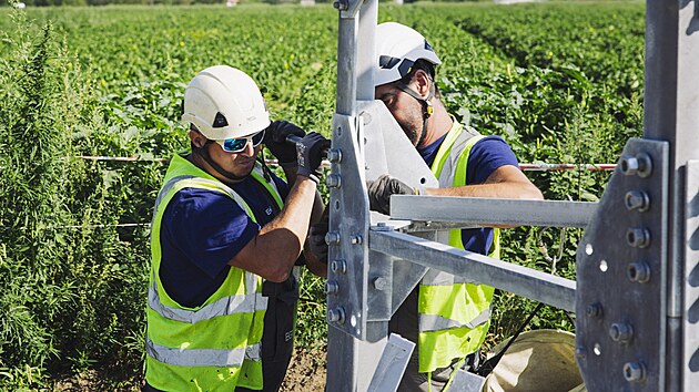 Těžká technika i montéři ve výškách byli potřeba k rekonstrukci a znovunatažení vedení velmi vysokého napětí v Božicích a Hodonicích na Znojemsku. (4. července 2026)
