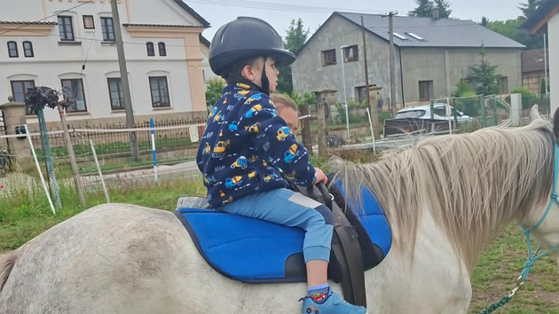 Po narozen&iacute; vypadal Patrik Jel&iacute;nek z Hradce Kr&aacute;lov&eacute; jako zdrav&eacute; d&iacute;tě. Až později l&eacute;kaři zjistili, že trp&iacute; vz&aacute;cnou genetickou poruchou, kter&aacute; je v současnosti nel&eacute;čiteln&aacute;. Hoch je odk&aacute;zan&yacute; na nepřetržitou p&eacute;či m&aacute;my, kter&aacute; zůstala sama na tři děti. Na platformě Donio založila sb&iacute;rku pod n&aacute;zvem Těžk&yacute; start do života: pomožme Patrikovi s ATR-X syndromem.