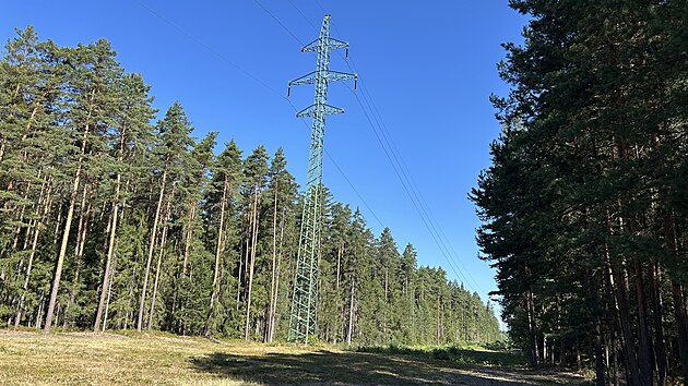 Celé pásmo u Klikova na Jindřichohradecku je dlouhé zhruba 3,5 kilometru. Po konci prací z něj chtějí mít koridor, který umožní přesun druhů. (červenec 2026)