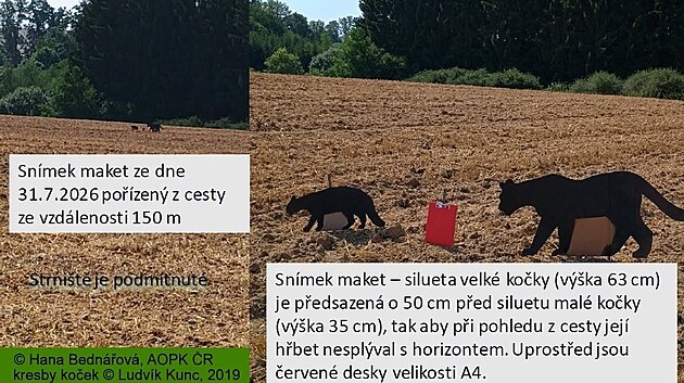 Zooložka Hana Bednářová provedla test s maketami na Táborsku u Dlouhé Lhoty.
