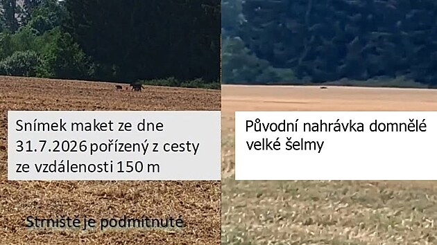 Zooložka Hana Bednářová provedla test s maketami na Táborsku u Dlouhé Lhoty.