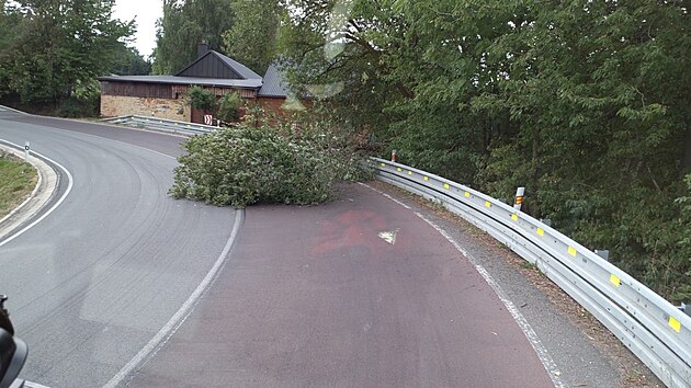 Mohutn&aacute; l&iacute;pa spadla na střechu domu, kraj&scaron;t&iacute; hasiči měli kvůli bouřce 24 v&yacute;jezdů. (5. srpna 2026)