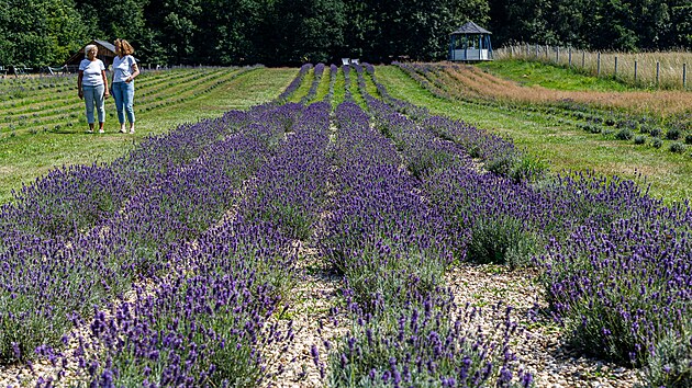 Podle její majitelky Adély Roubíčkové nejde jen o pěstování rostlin. Lidé mohou na farmě navštívit třeba kavárnu s obchůdkem nebo se ubytovat.