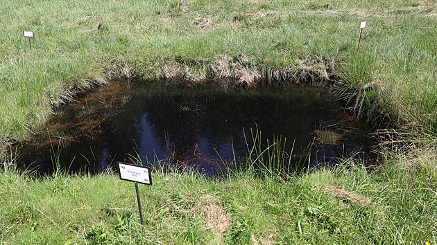 Každé vytěžené pole pracovníci lázní označí cedulkou. „Pole za chvíli zaroste a už to není
poznat,“ říká balneotechnik Horských lázní Karlova Studánka Tomáš Kocman.