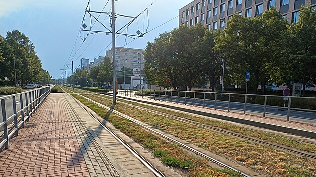 Od neděle 9. srpna až do konce měsíce bude olomoucký dopravní podnik opravovat výhybky u hlavního nádraží a na tramvajové smyčce Fibichova v Olomouci. Nepojedou kvůli tomu v úseku Hlavní nádraží – Fibichova – Pavlovičky. Cestující budou využívat občasnou zastávku na třídě Kosmonautů (na snímku). (srpen 2026)