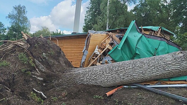 Stromy při bouřce popadaly na tábor v Bělči. (18. srpna 2026)