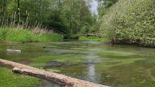 Nová přírodní rezervace se rozkládá na ploše o rozloze téměř 283 hektarů v severní části CHKO.