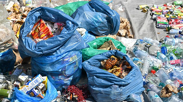 Letn&iacute; anal&yacute;za odpadu z veřejn&yacute;ch ko&scaron;ů v centru Prahy. (14. srpna 2026)