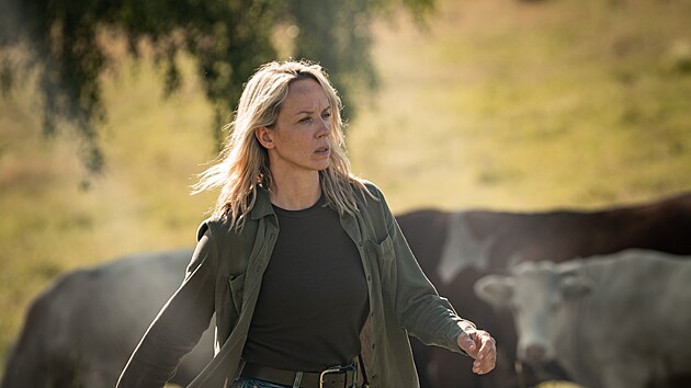 Petra Hřebíčková v seriálu Hec (2026)