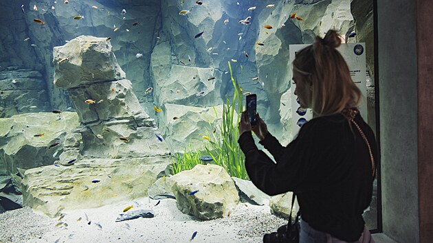 Zoo Hodonín otevírá nový pavilon akvárií. (25. srpna 2026)