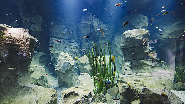 Novostavba pavilonu akvárií v hodonínské zoo nahradila původní objekt z roku 1981, jehož statiku narušilo před pěti lety tornádo. (25. srpna 2026)
