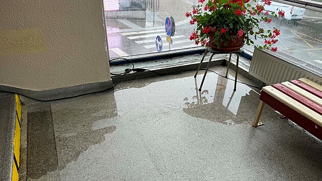 Snímek zachycuje kaluže vody na podlaze u proskleného rizalitu jihlavské sokolovny po dešti.