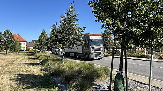 Obyvatelé Sedlice si stěžují například na problémy s přecházením silnice či hlukem. Problémy zmiňují i cyklisté, kteří ji potřebují využít byť jen krátce. (červenec 2026)