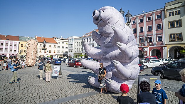 Obř&iacute; modely mikroorganismů na akci na Velk&eacute;m n&aacute;měst&iacute; v Kroměř&iacute;ži. (srpen 2026)