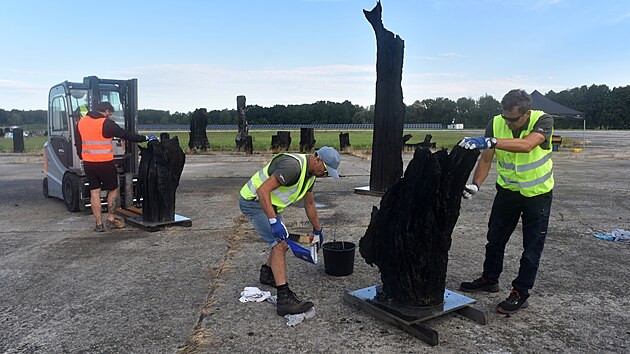 Do Moravskoslezského kraje se vrátilo více než sto kmenů stromů starých zhruba 6 500 let, které byly českým tahákem světové výstavy EXPO 2026 v Japonsku. (20. srpna 2026)
