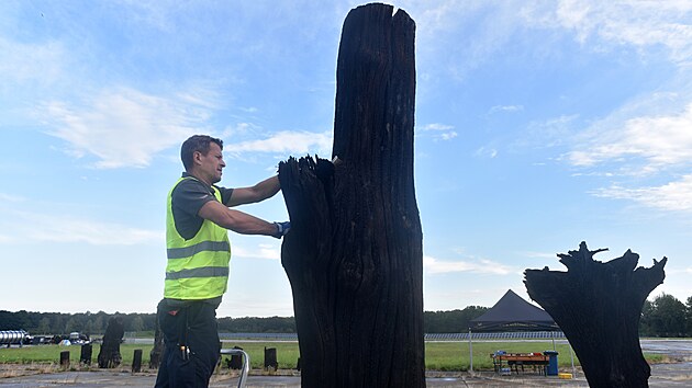 Do Moravskoslezského kraje se vrátilo více než sto kmenů stromů starých zhruba 6 500 let, které byly českým tahákem světové výstavy EXPO 2026 v Japonsku. (20. srpna 2026)