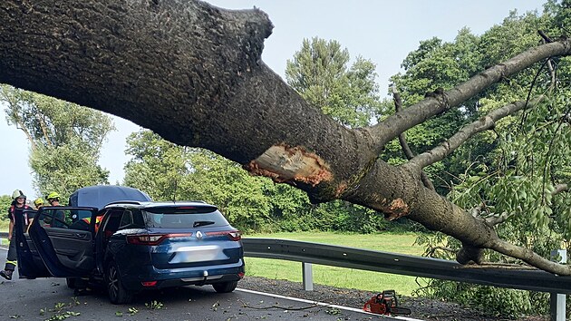 Při p&aacute;du na auto u Doudleb nad Orlic&iacute; strom zranil řidiče. (28. srpna 2026)