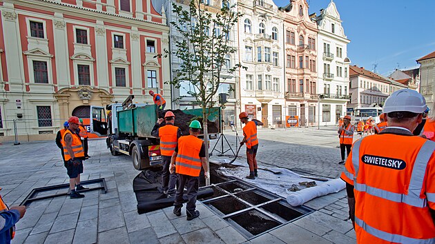 Město Plzeň dokončuje 1. etapu rekonstrukce náměstí Republiky. Ta zahrnula západní část centrální plochy, tedy prostor mezi katedrálou a biskupstvím. Novinkou je stromořadí jilmů. (27. srpna 2026)