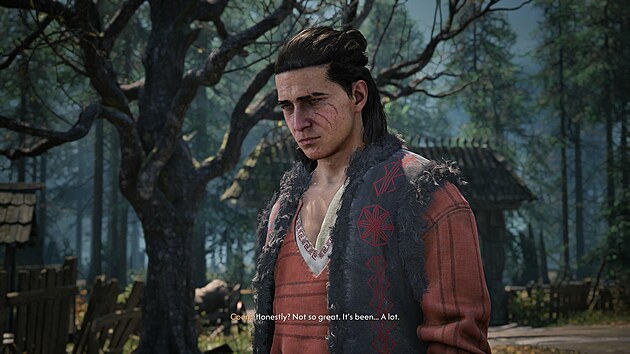 The Blood of Dawnwalker
