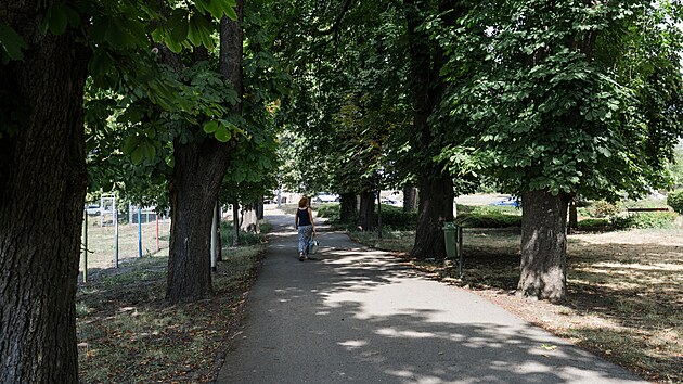 Obec Čejč na Hodon&iacute;nsku je leto&scaron;n&iacute;m v&iacute;tězem krajsk&eacute;ho kola soutěže Vesnice roku v Jihomoravsk&eacute;m kraji. Porotci ocenili spolkov&yacute; život, podporu kultury, p&eacute;či o životn&iacute; prostřed&iacute; i rozvoj vinařsk&yacute;ch tradic. (srpen 2026)