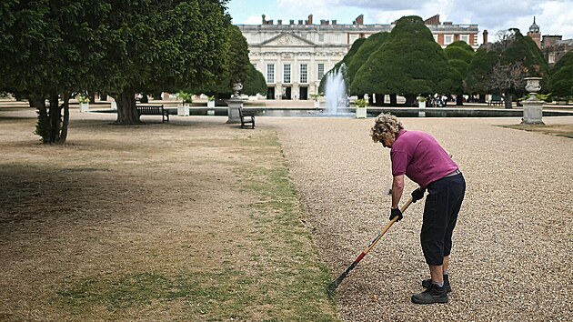 Sytou zeleň v zahradách sídla Hampton Court vystřídala vybledlá žluť. Honosné zámecké parky a zahrady v Anglii trápí sucho. (20. srpna 2026)