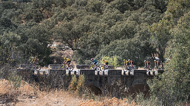Peloton v 15. etapě cyklistické Vuelty táhly týmy největších adeptů na nedělní prvenství, tedy Visma (ve žlutém) i s Woutem van Aertem (zelený dres) a Cofidis s Bryanem Coquardem.