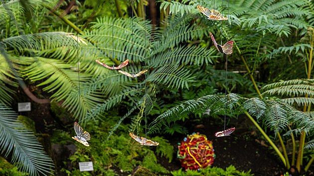 V&yacute;stava v libereck&eacute; botanick&eacute; zahradě spojuje svět živ&yacute;ch rostlin s uměn&iacute;m skl&aacute;řů.