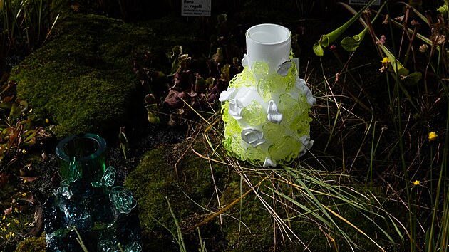 V&yacute;stava v libereck&eacute; botanick&eacute; zahradě spojuje svět živ&yacute;ch rostlin s uměn&iacute;m skl&aacute;řů.