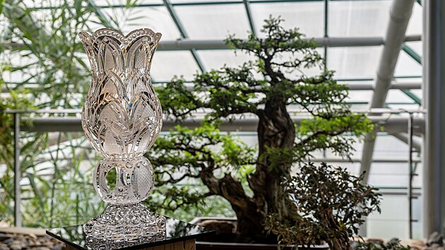 V&yacute;stava v libereck&eacute; botanick&eacute; zahradě spojuje svět živ&yacute;ch rostlin s uměn&iacute;m skl&aacute;řů.