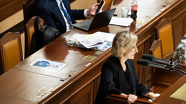 Vendula Svobodová (Piráti) na řádné schůzi Sněmovny. (8. září 2026)