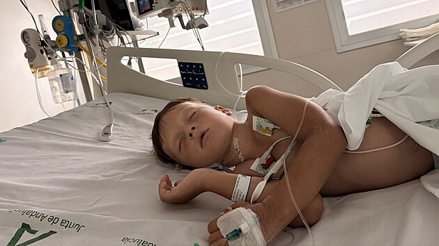 Pětilet&yacute; Jindra Ondrejka m&aacute; za sebou třicetidenn&iacute; cyklus chemoterapie. Jeho rodina nyn&iacute; hled&aacute; vhodn&eacute;ho d&aacute;rce kostn&iacute; dřeně.