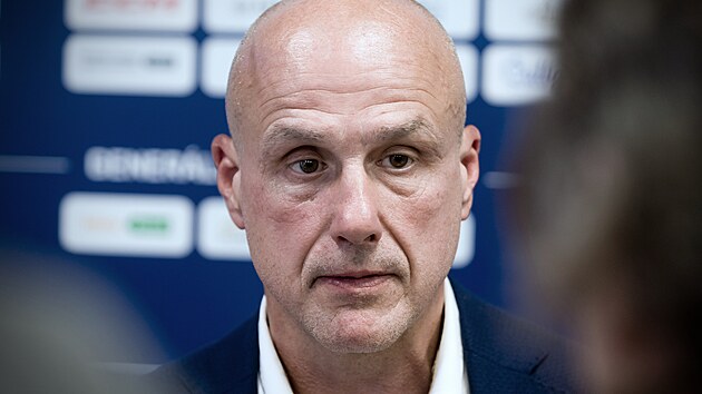 Místopředseda představenstva plzeňského klubu Martin Straka