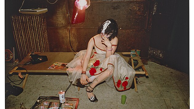 Trixie na lehátku v New Yorku (1979)