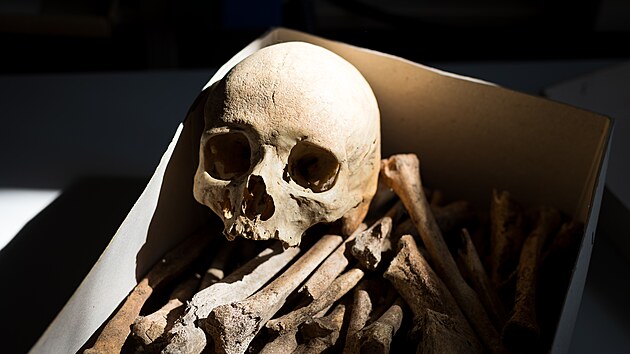 V&yacute;zkumn&iacute;ci využij&iacute; nejmoderněj&scaron;&iacute; metody archeogenetiky, antropologie a biomolekul&aacute;rn&iacute;ho v&yacute;zkumu. Z kostern&iacute;ch pozůstatků lze v ide&aacute;ln&iacute;m př&iacute;padě zjistit původ člověka, jeho př&iacute;buzensk&eacute; vazby, pohyb během života, změny stravy nebo fyzickou z&aacute;těž.