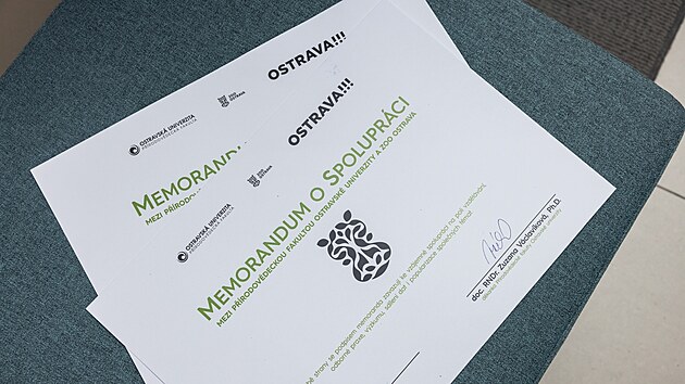 Ostravsk&aacute; zoo a Př&iacute;rodovědeck&aacute; fakulta Ostravsk&eacute; univerzity roz&scaron;&iacute;řily partnerstv&iacute;. To přinese studentům př&iacute;rodovědn&yacute;ch oborů možnosti pro praktick&eacute; v&yacute;uky, v&yacute;zkumn&eacute; projekty i praxe &ndash; např&iacute;klad v nově připravovan&eacute;m studijn&iacute;m programu Zoologie. (4. z&aacute;ř&iacute; 2026)