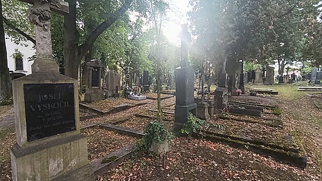 Některé náhrobky na brodském hřbitově svatého Vojtěcha se nacházejí v tristním stavu. Jsou pobořené, mají ulámané kříže, sochy jsou poničené, písmo zašlé... Na popud historiků by se to mělo v blízké budoucnosti změnit.