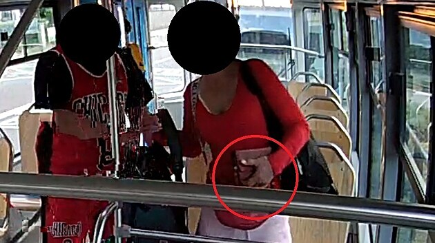 Zlodějku i s jejím kumpánem zachytila po jednom z případů okradení seniorky kamera v tramvaji i s ukradenou peněženkou.