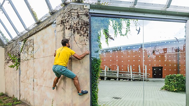 Sedmnáctinásobný mistr republiky v boulderingu a lezení na obtížnost Martin Stráník zkoušel ve dvorské zoo uprchnout z upraveného výběhu primátů (10. září 2026).