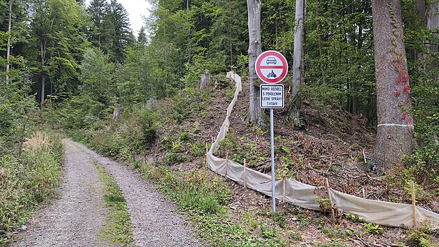 Igelitové bariéry v lesích na pomezí Svitavska a Mohelnicka lemují budoucí trasu dálnice D35. Mají zabránit obojživelníkům a plazům, aby se dostali do míst, kde se bude stavět. (29. září 2026)