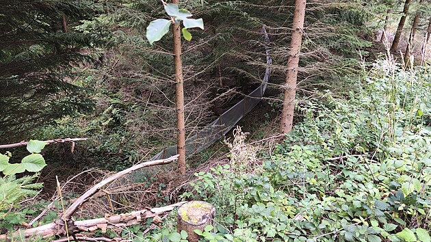 Igelitové bariéry v lesích na pomezí Svitavska a Mohelnicka lemují budoucí trasu dálnice D35. Mají zabránit obojživelníkům a plazům, aby se dostali do míst, kde se bude stavět. (29. září 2026)