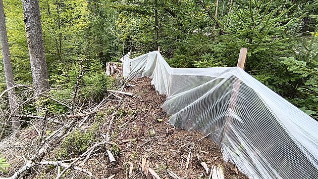 Igelitové bariéry v lesích na pomezí Svitavska a Mohelnicka lemují budoucí trasu dálnice D35. Mají zabránit obojživelníkům a plazům, aby se dostali do míst, kde se bude stavět. (29. září 2026)