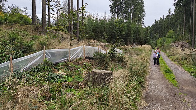 Igelitové bariéry v lesích na pomezí Svitavska a Mohelnicka lemují budoucí trasu dálnice D35. Mají zabránit obojživelníkům a plazům, aby se dostali do míst, kde se bude stavět. (29. září 2026)