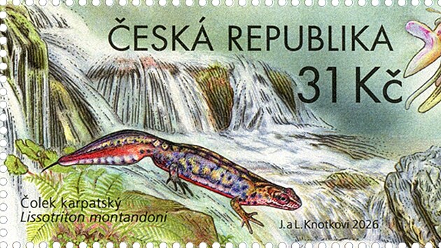Na nové známce České pošty, která je věnovaná ochraně přírody a Jeseníkám, jsou zobrazena zvířata a rostliny typické pro Jeseníky: čolek karpatský a sklenobýl bezlistý, hvězdnice alpská a perleťovec stříbrný, sasanka narcisokvětá a kopyšník tmavý, sokol stěhovavý a zvonek jesenický.